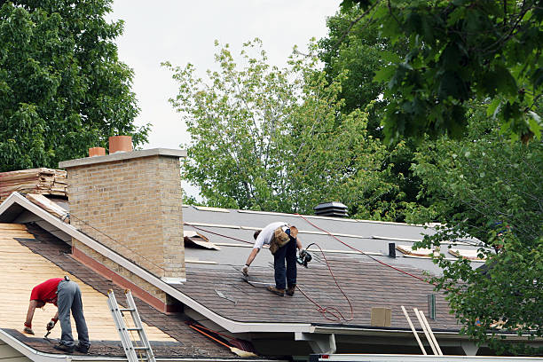 Best Shingle Roofing Installation  in University At Buffalo, NY